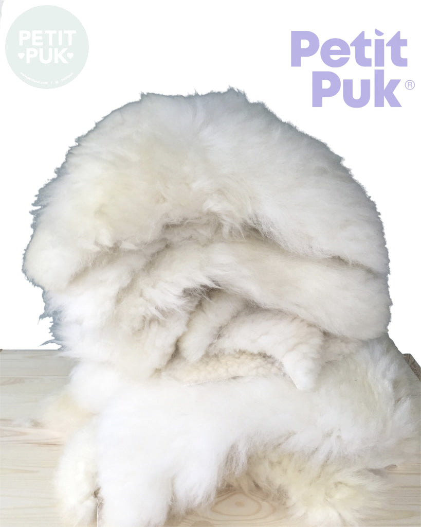 Handmade Wooden Rocking Horse Chappell