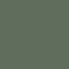 Forest Green (NCS S 6010-G30Y)